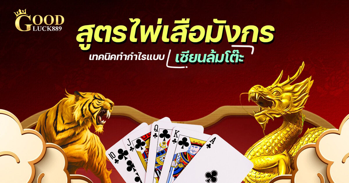 สูตรเล่นไพ่เสือมังกร การเตรียมความพร้อมก่อนเริ่มเดิมพัน