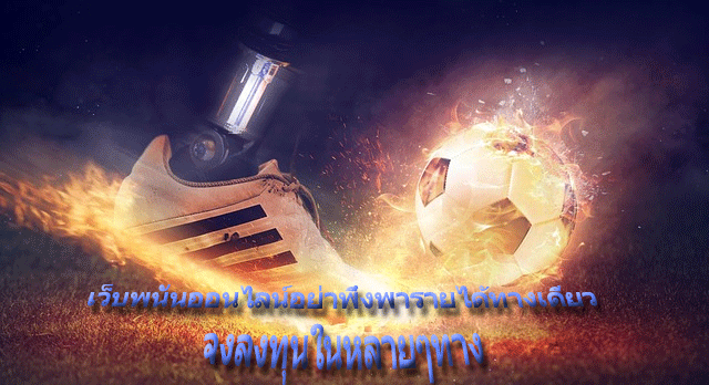 เว็บพนันออนไลน์อย่าพึ่งพารายได้ทางเดียว จงลงทุนในหลายๆทาง